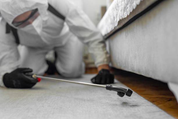 Professional Cockroach Control technician working in Stem, NC