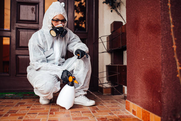 Reliable Cockroach Control contractor in Stem, NC by Nex Pest Control