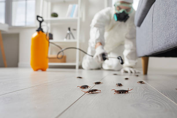 Affordable Cockroach Control solutions in Stem, NC